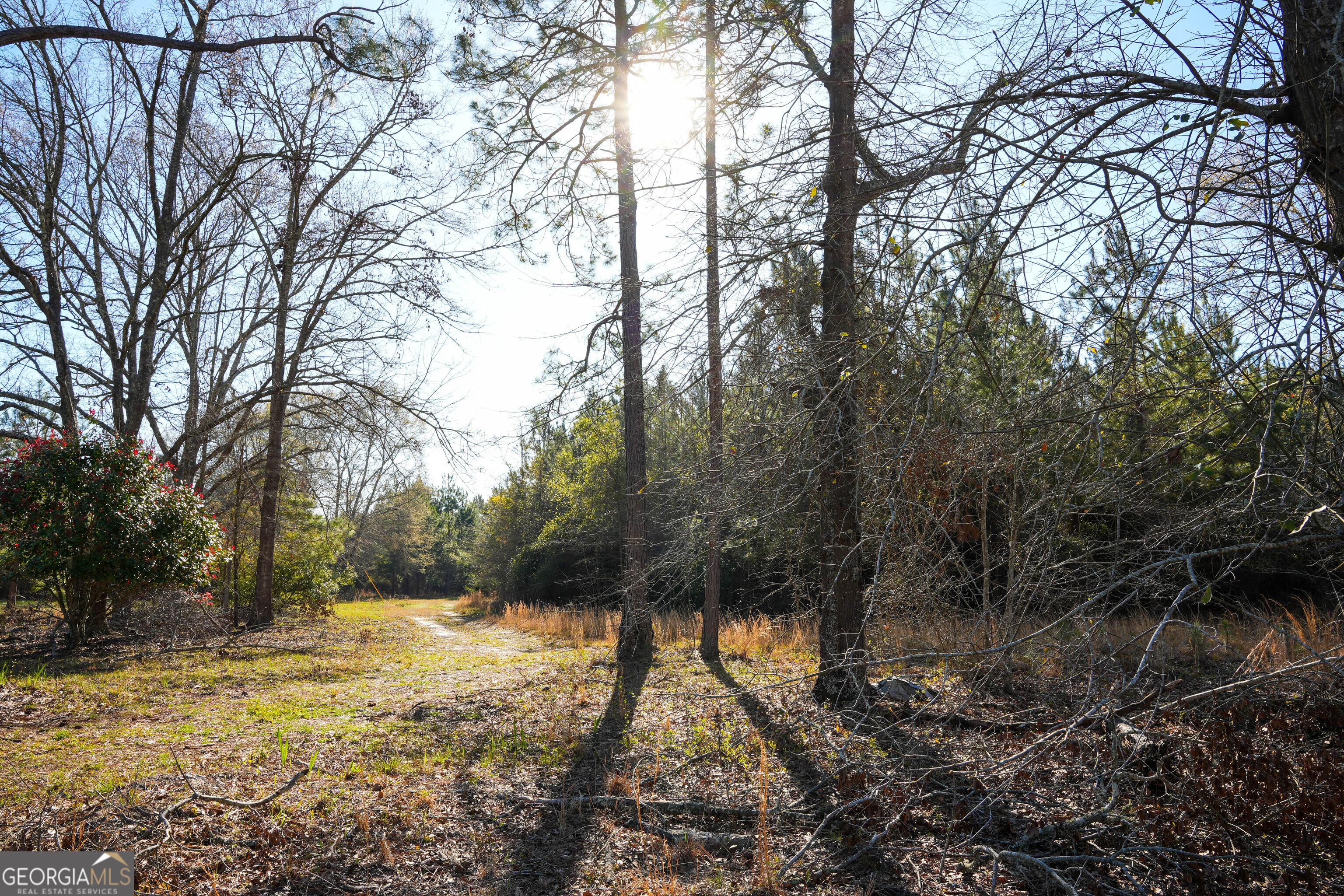 0 Clifton Road, Unit LOT 6 Statesboro, GA 30458 - Photo 1 of 1 Gallery Image 1