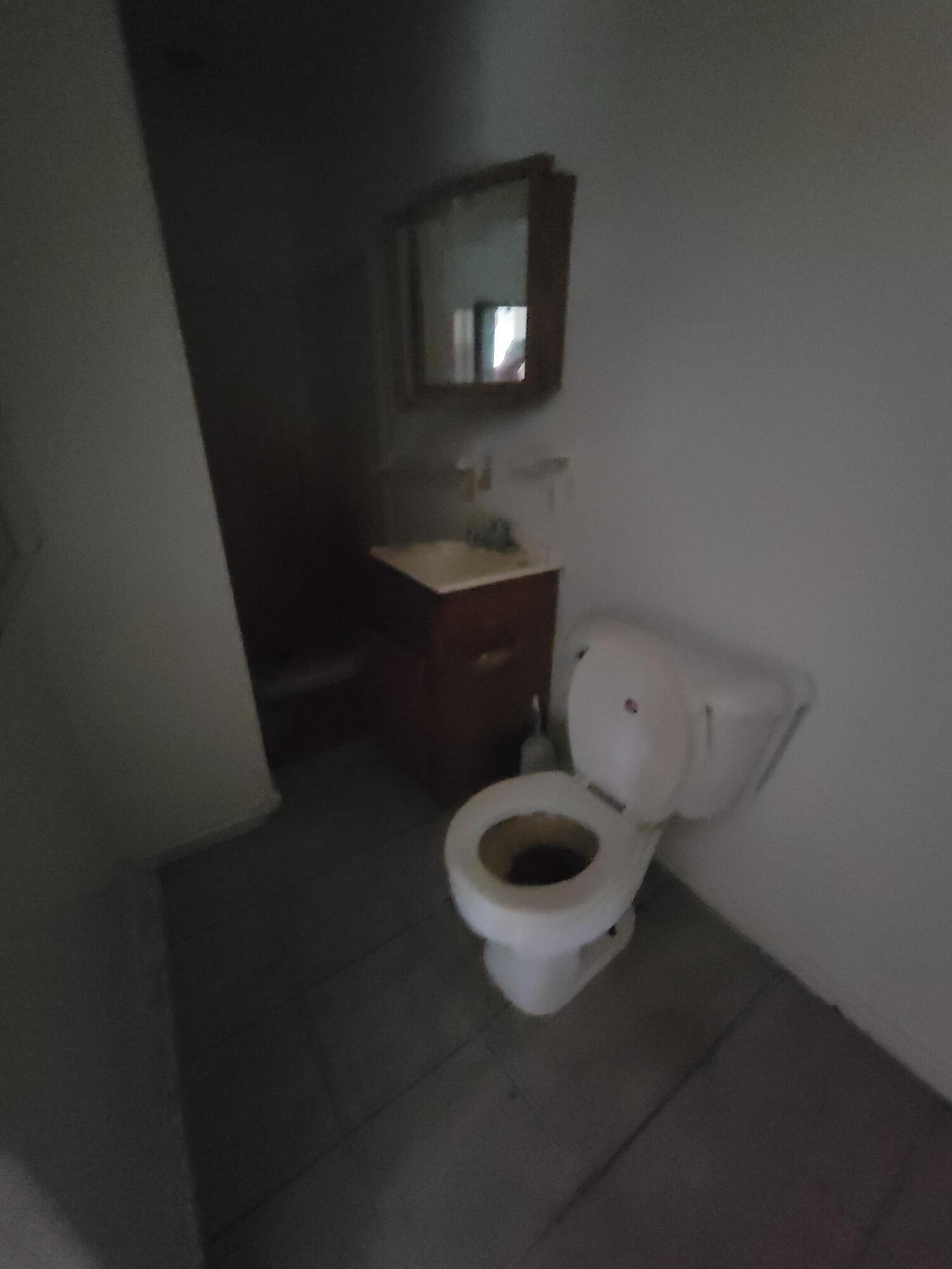 8808 Reno Drive Munith, MI 49259 - Photo 7 of 15 20220610_175831