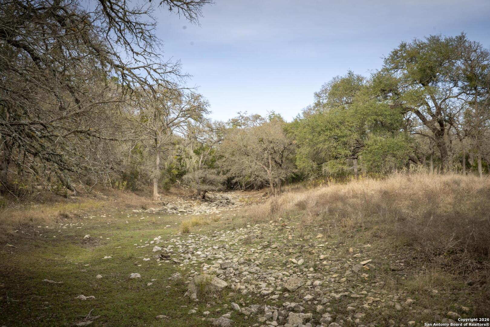 360 Kirk Lane Bulverde, TX 78163 - Photo 37 of 50 a view of a yard with a tree