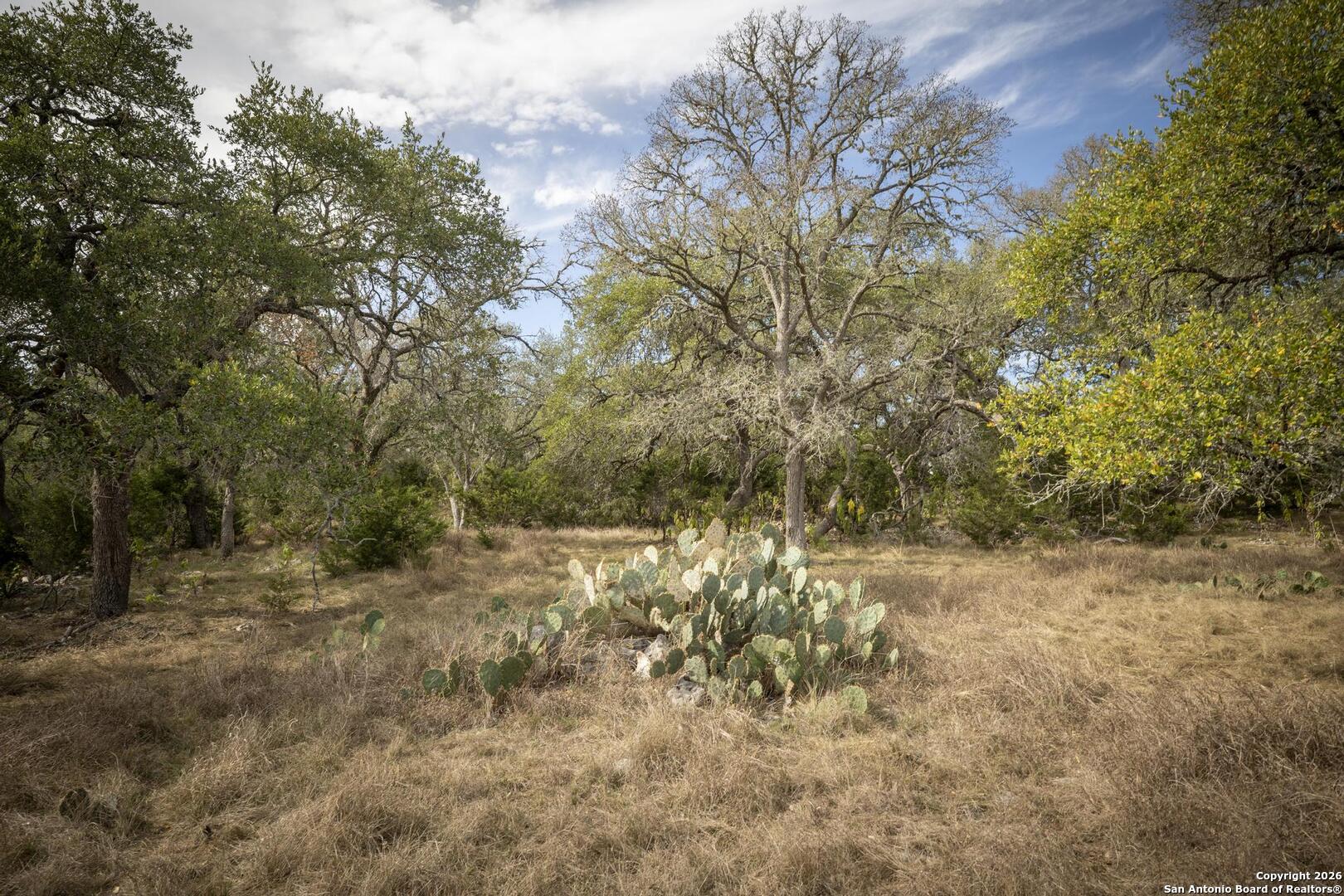 360 Kirk Lane Bulverde, TX 78163 - Photo 43 of 50 a view of a yard with plants and trees