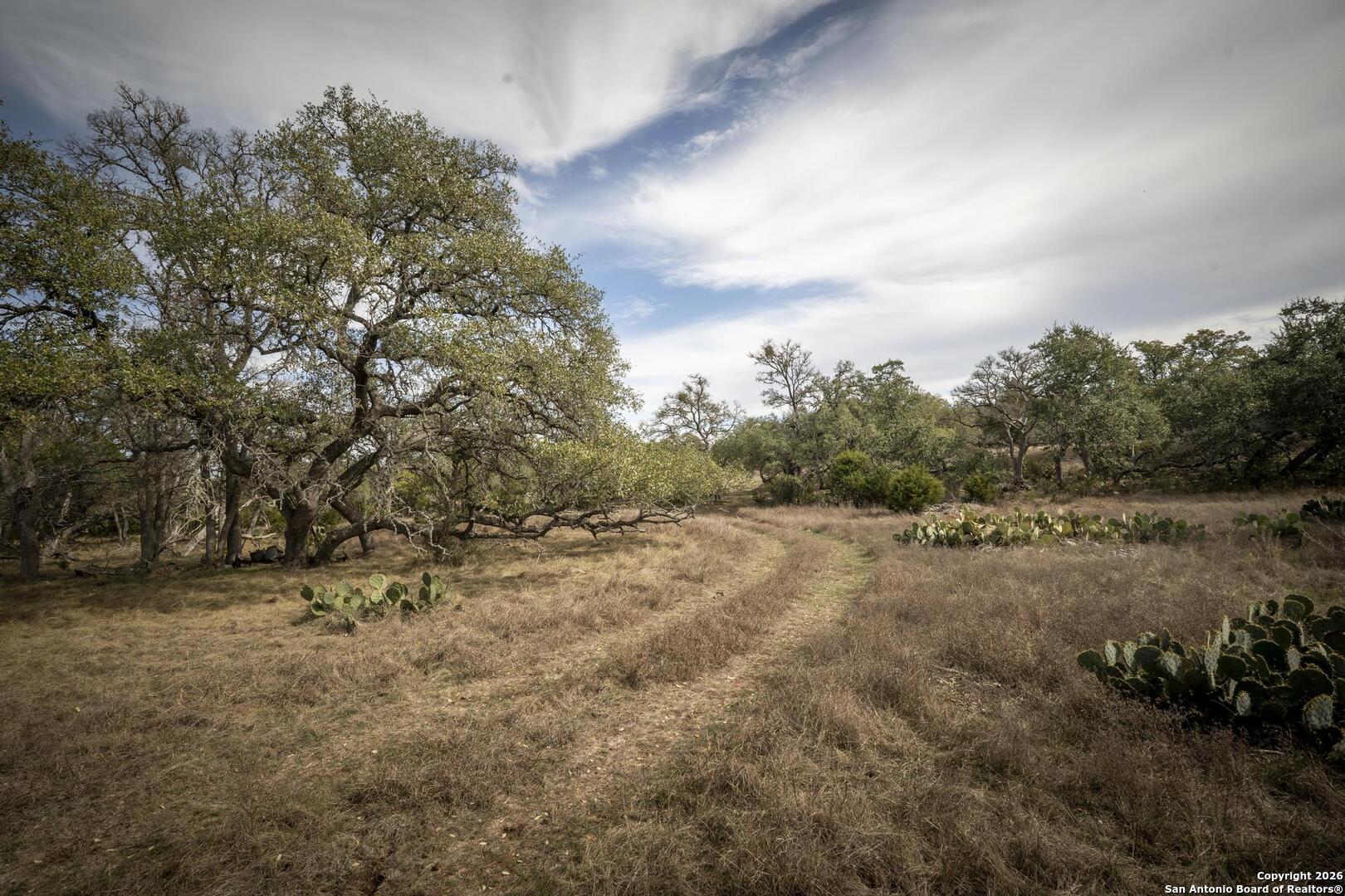 360 Kirk Lane Bulverde, TX 78163 - Photo 45 of 50 a view of dirt field with trees in background