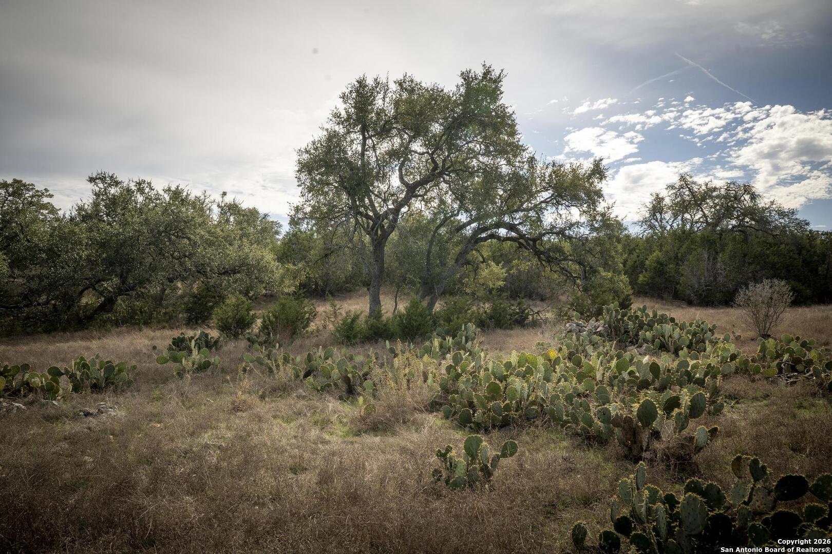 360 Kirk Lane Bulverde, TX 78163 - Photo 46 of 50 a view of a yard with a tree