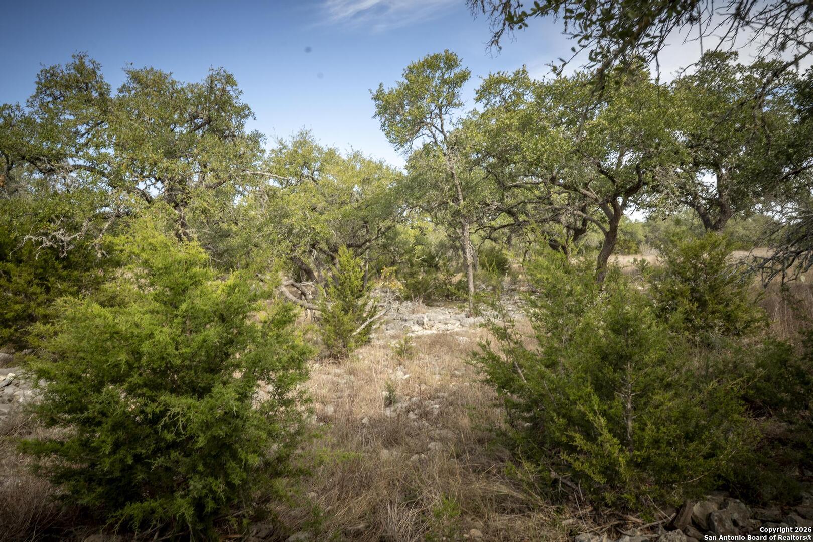 360 Kirk Lane Bulverde, TX 78163 - Photo 49 of 50 a view of a yard