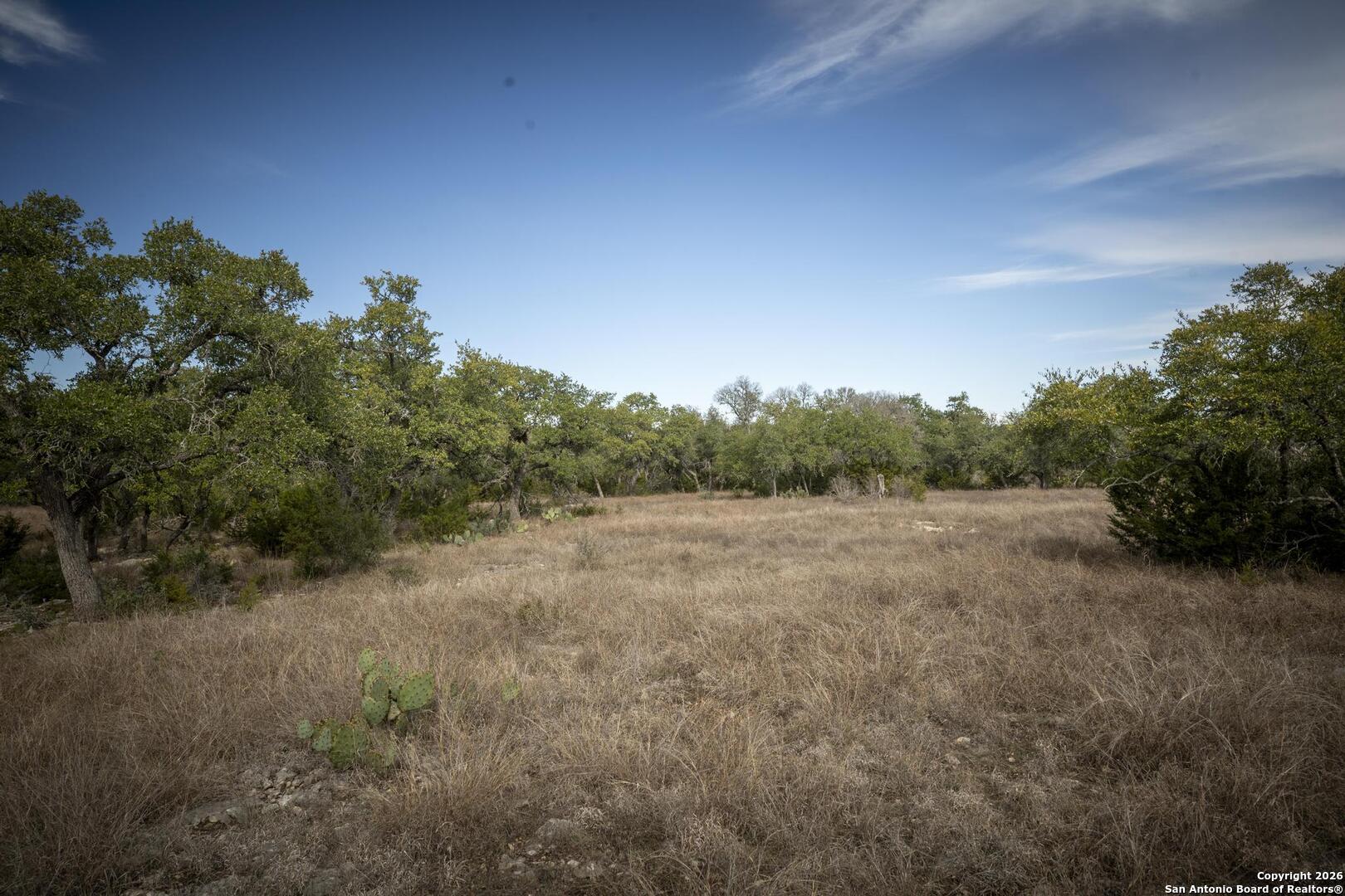 360 Kirk Lane Bulverde, TX 78163 - Photo 50 of 50 a view of a field of grass and trees