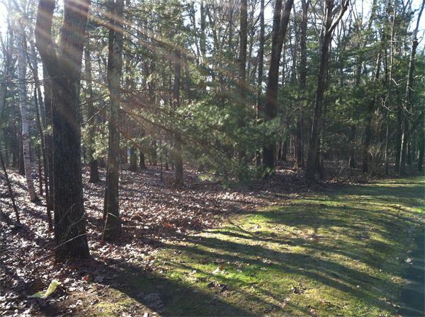 0 Greystone Road Dover, MA 02030 - Photo 1 of 8 Gallery Image 1