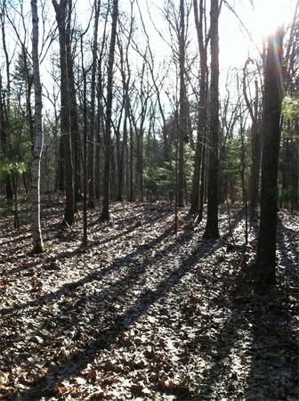 0 Greystone Road Dover, MA 02030 - Photo 2 of 8 Gallery Image 2