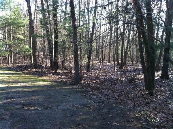 0 Greystone Road Dover, MA 02030 - Photo 3 of 8 Gallery Image 3