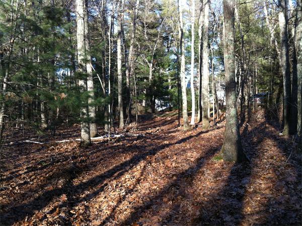0 Greystone Road Dover, MA 02030 - Photo 4 of 8 Gallery Image 4