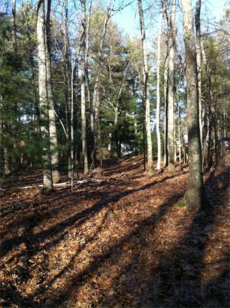0 Greystone Road Dover, MA 02030 - Photo 6 of 8 Gallery Image 6
