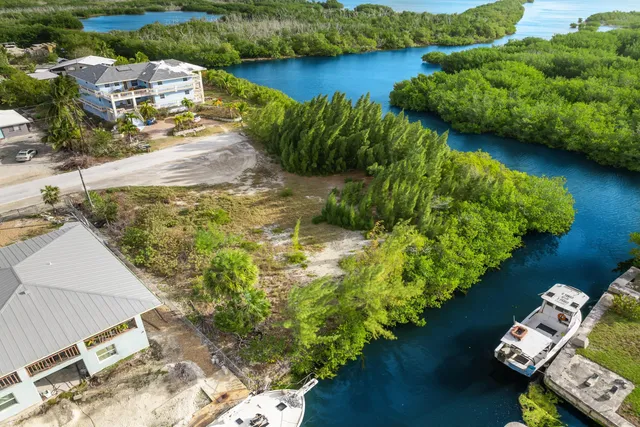 view of a lake with houses