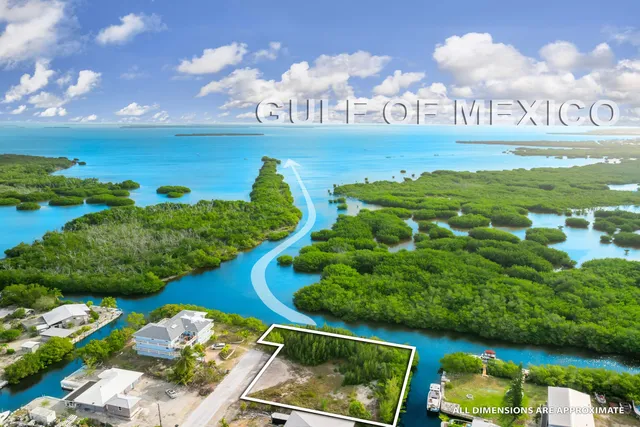 a view of a bunch of flowers and a building in the background
