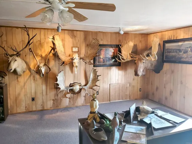 a view of a city from a terrace