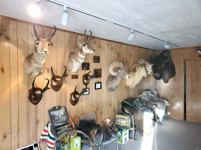 a view of a backyard of the house