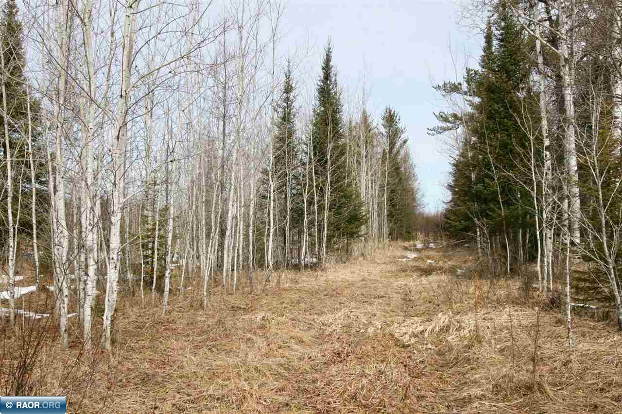 8441 Johnson Road Cook, MN 55723 - Photo 2 of 8