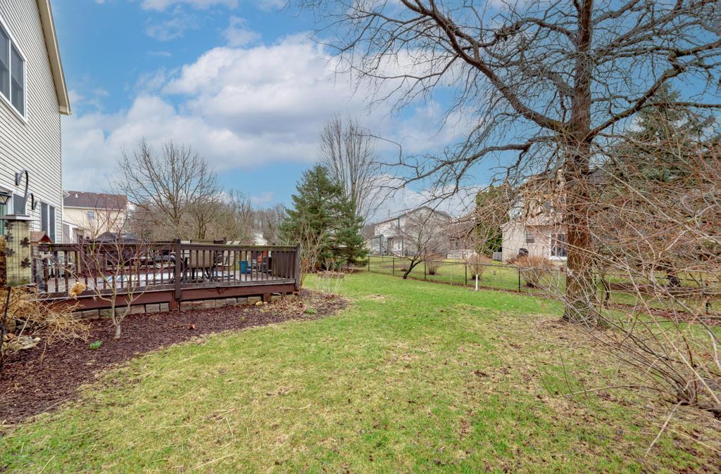 460 Springwood Lane Bolingbrook, IL 60440 - Photo 35 of 35 a view of a yard with plants and trees