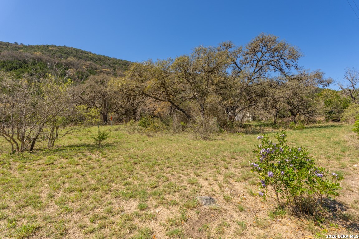 3655 North Seco Creek Road Medina, TX 78055 - Photo 11 of 45 a view of a yard with an trees