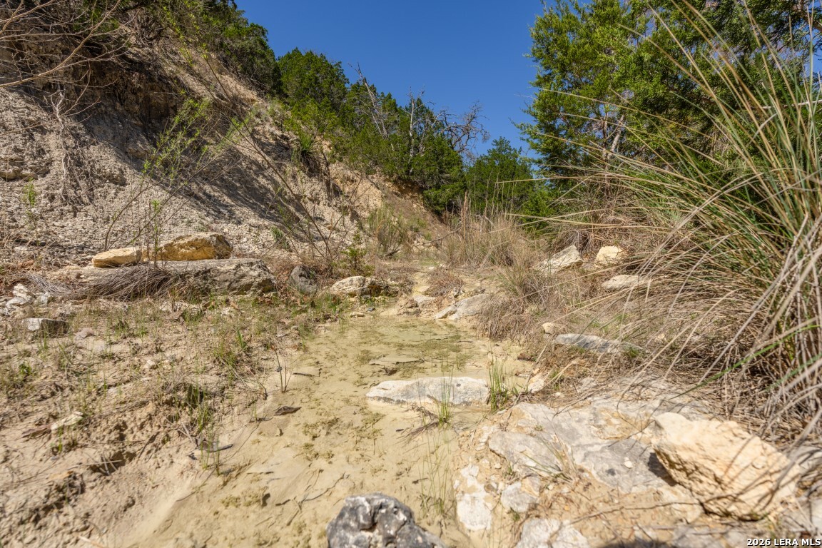 3655 North Seco Creek Road Medina, TX 78055 - Photo 15 of 45 a view of a yard