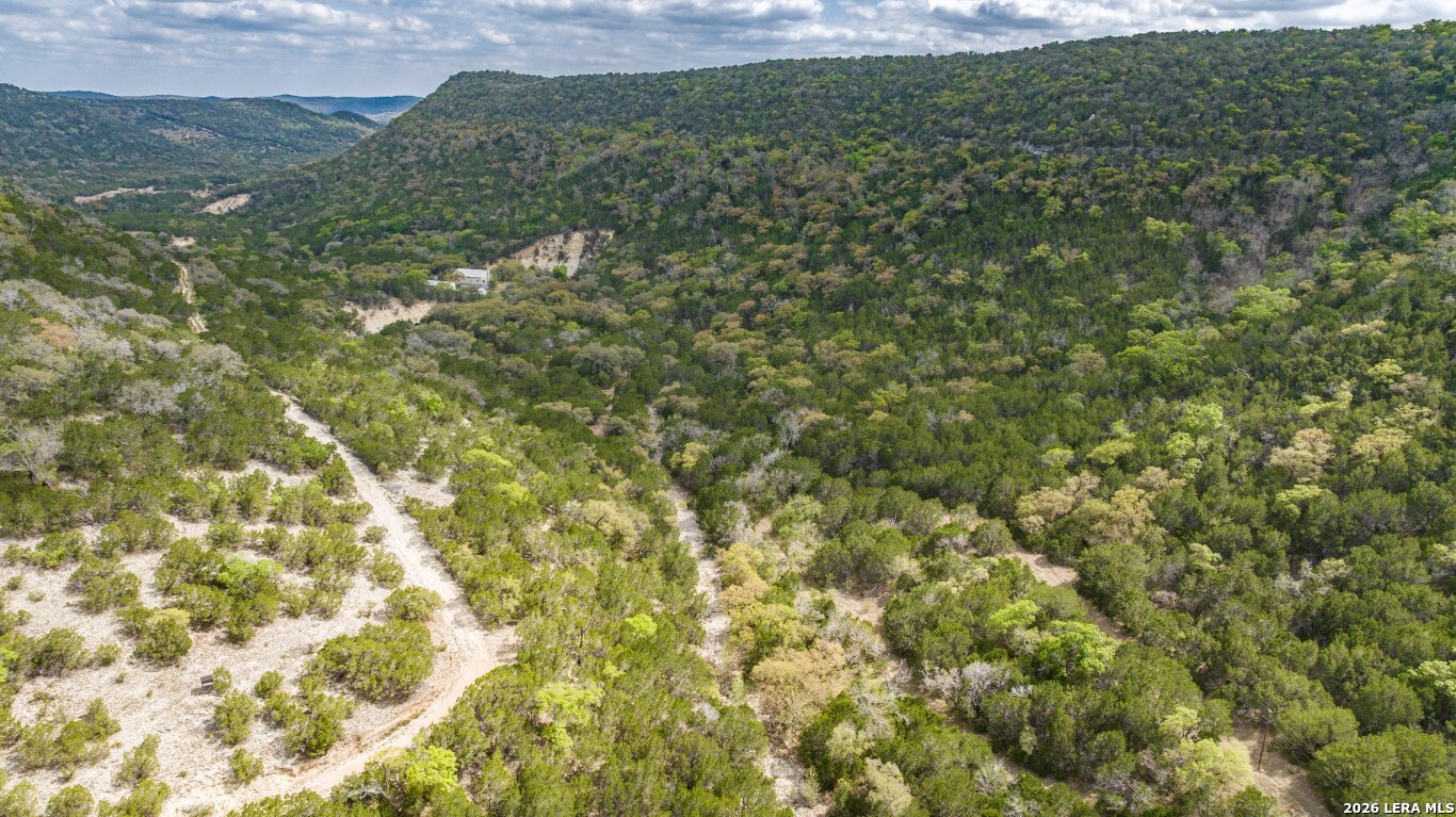 3655 North Seco Creek Road Medina, TX 78055 - Photo 2 of 45 a view of a field of grass and trees