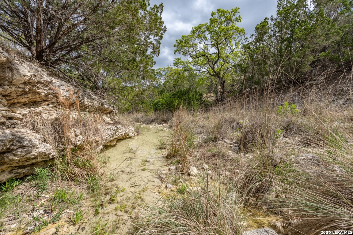 3655 North Seco Creek Road Medina, TX 78055 - Photo 39 of 45 a view of a yard with plants and trees
