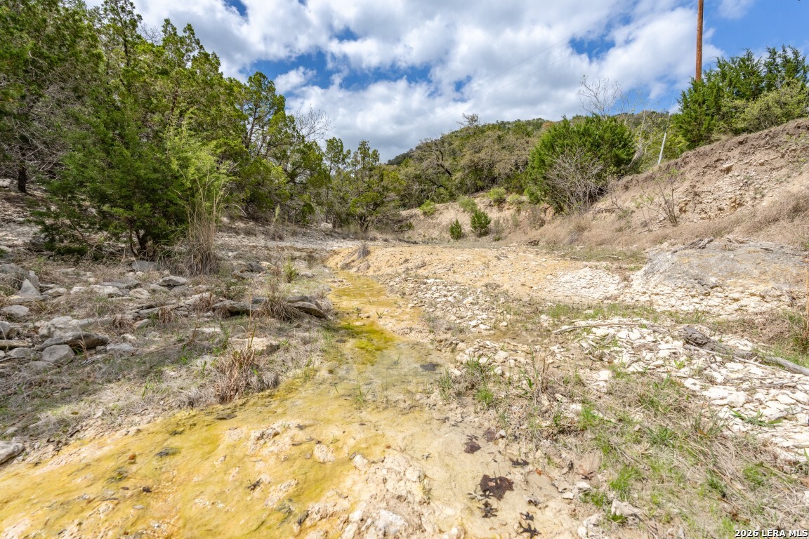 3655 North Seco Creek Road Medina, TX 78055 - Photo 41 of 45 a view of a yard with a tree
