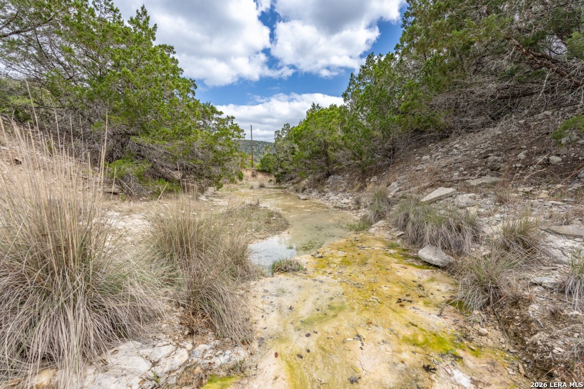 3655 North Seco Creek Road Medina, TX 78055 - Photo 44 of 45 a view of a yard