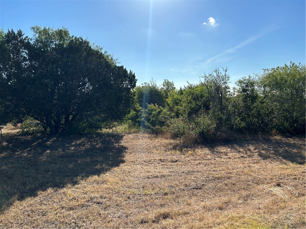 170 Open Spaces China Spring, TX 76633 - Photo 3 of 9