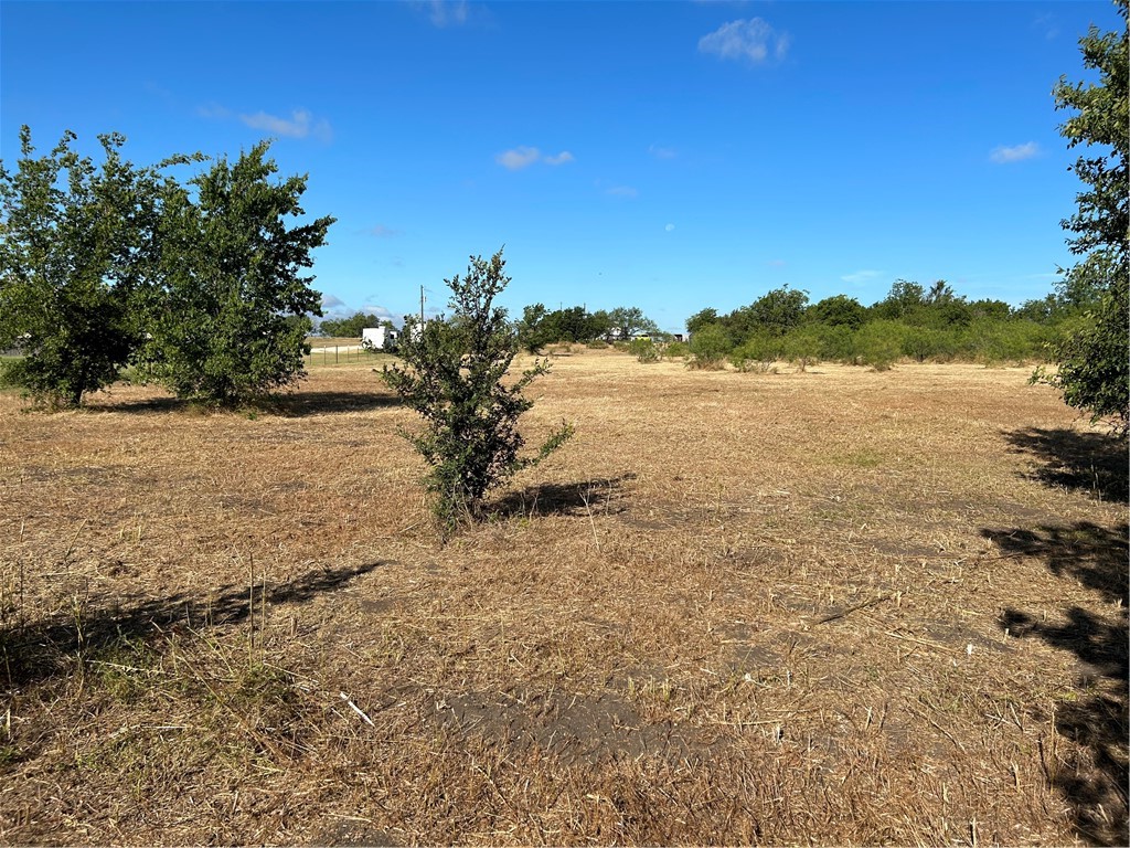 170 Open Spaces China Spring, TX 76633 - Photo 7 of 9