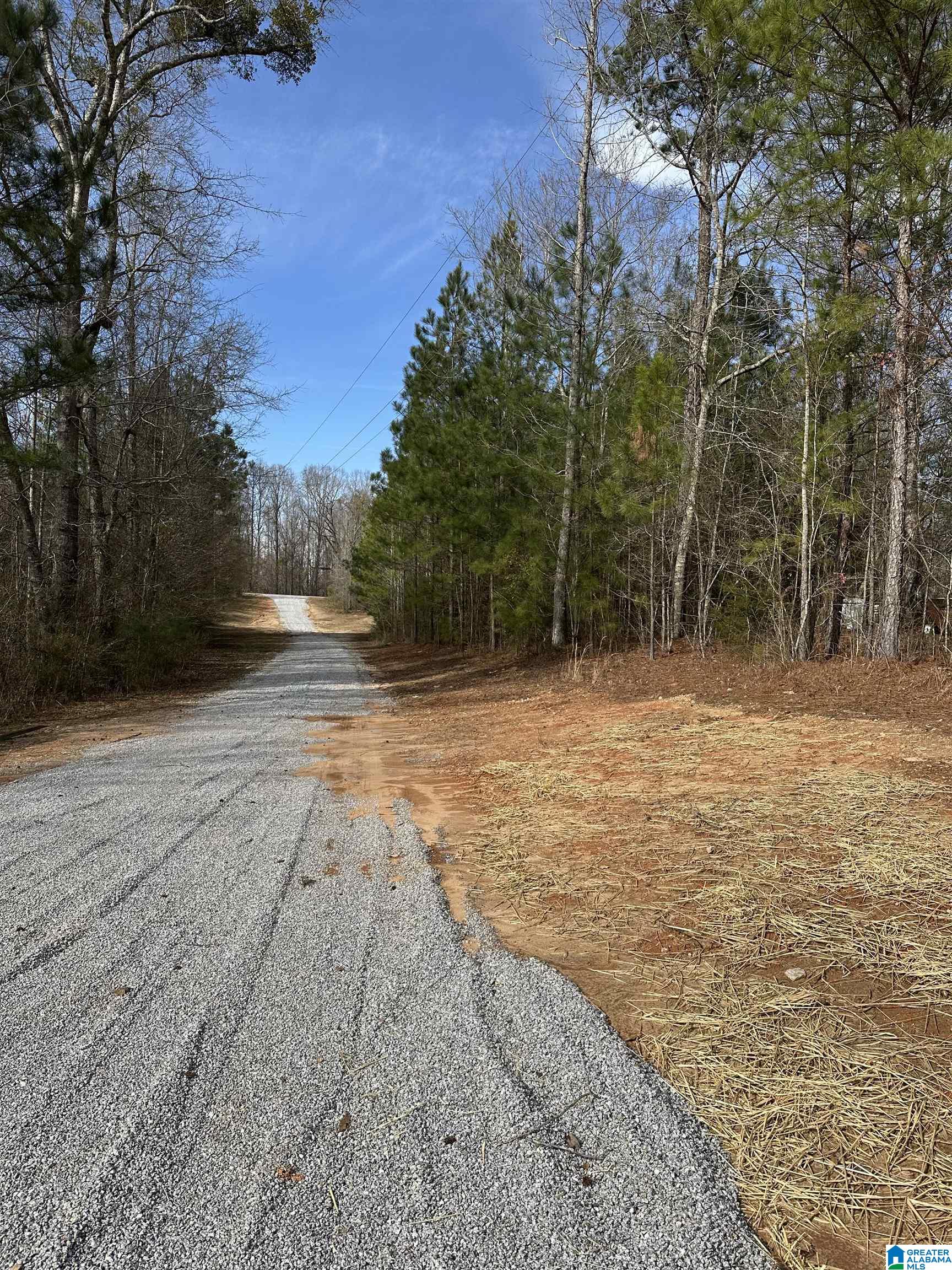 6640 County Road 79 Daviston, AL 36256 - Photo 2 of 20