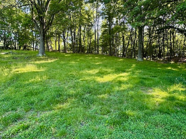 44 Moores Road New Cumberland, WV 26047 - Photo 21 of 27 Yard