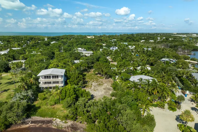 a view of a trees with a yard