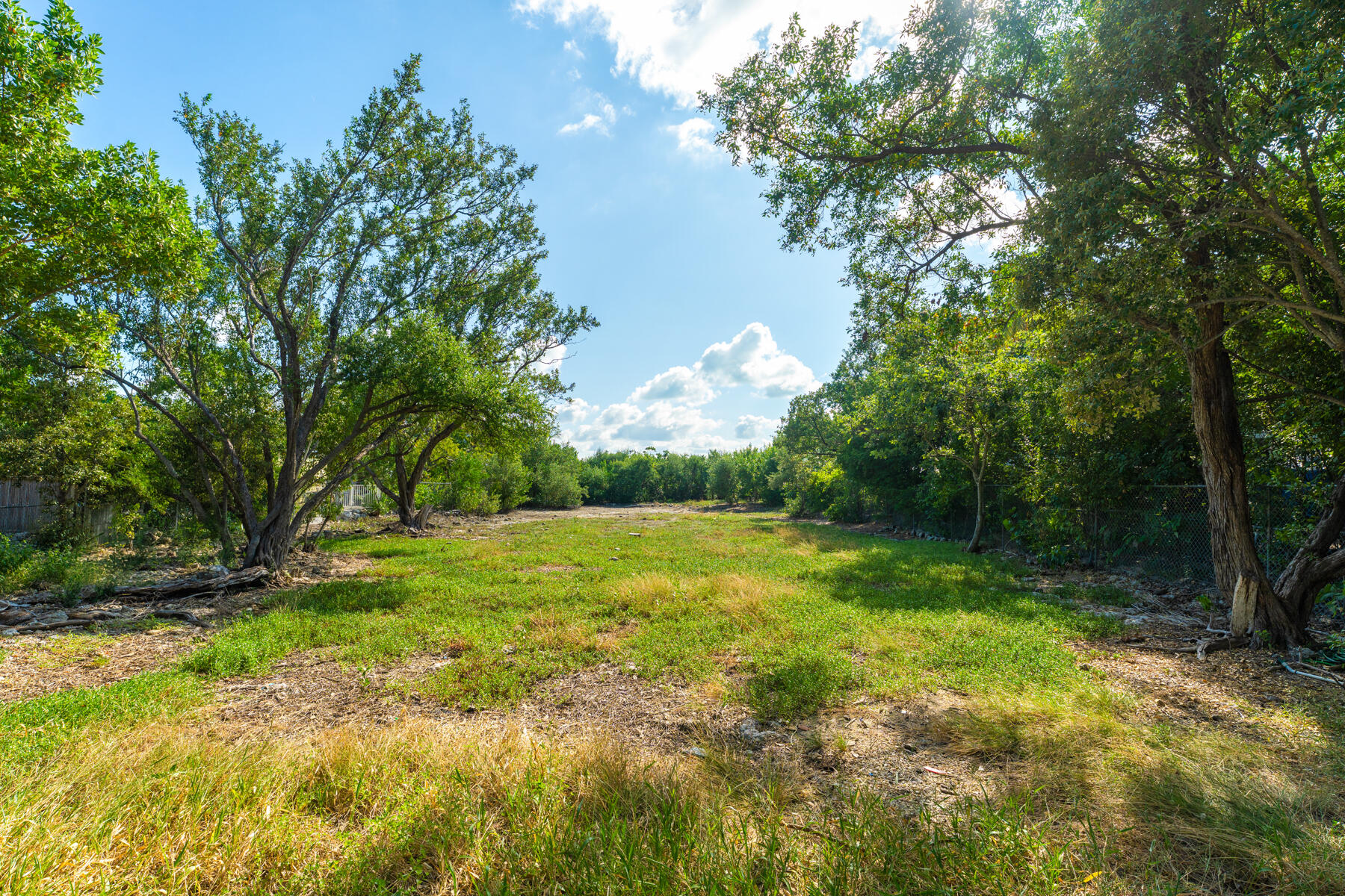 229 Coral Road Islamorada, FL 33036 - Photo 14 of 19 a view of a trees with a yard