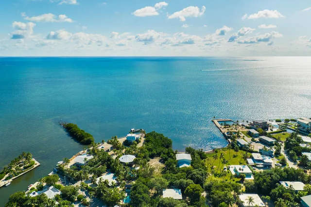 an aerial view of a house with a yard and lake view