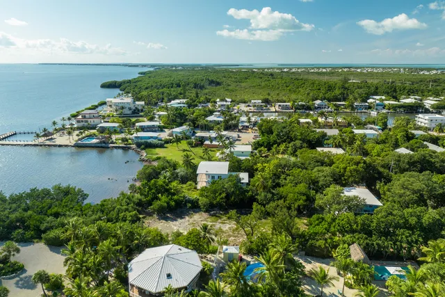 a view of a lake with houses