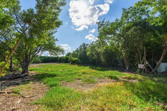 a view of a yard with a tree