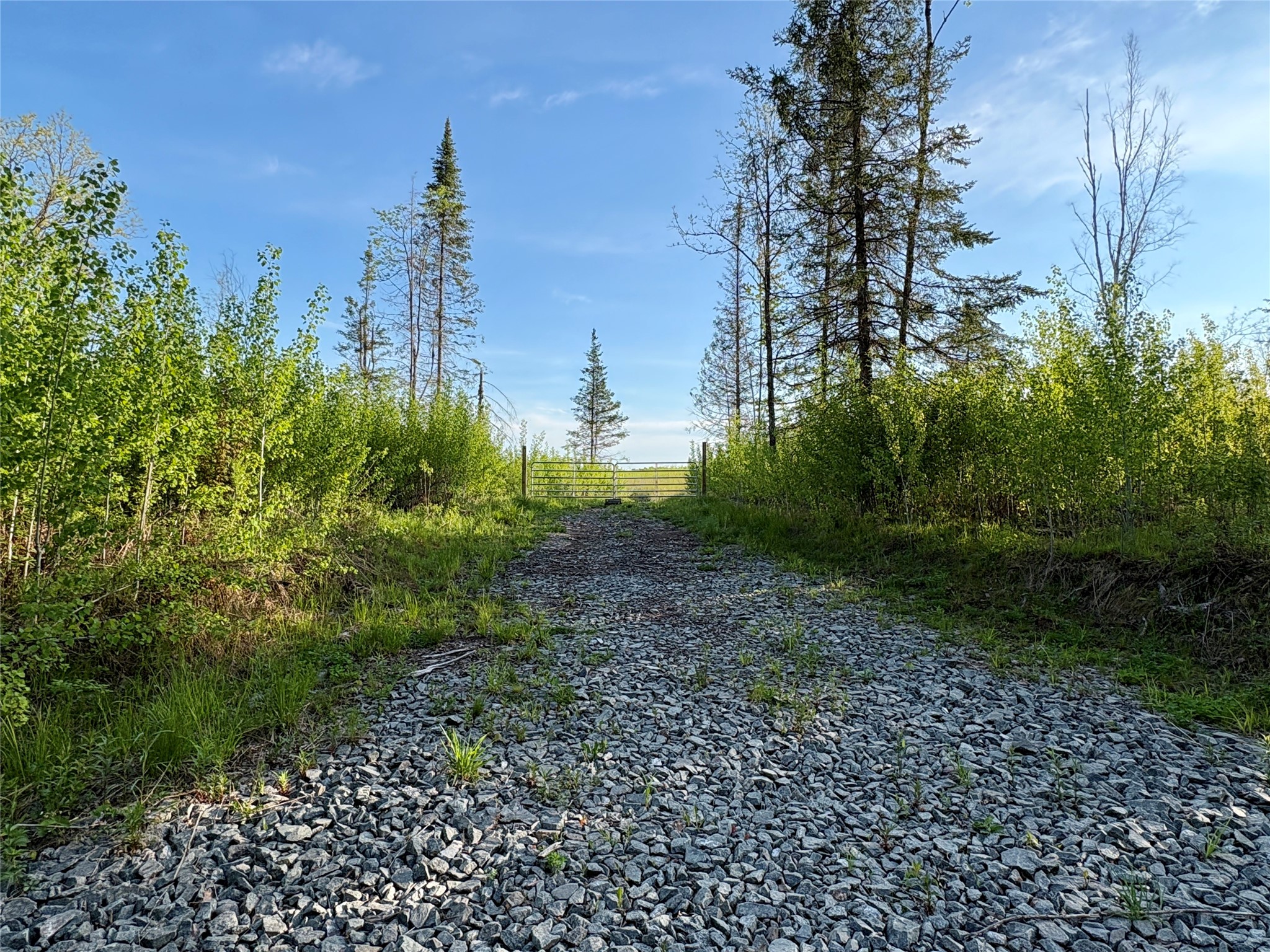 Lot 2 Girod Road Ladysmith, WI 54848 - Photo 1 of 26