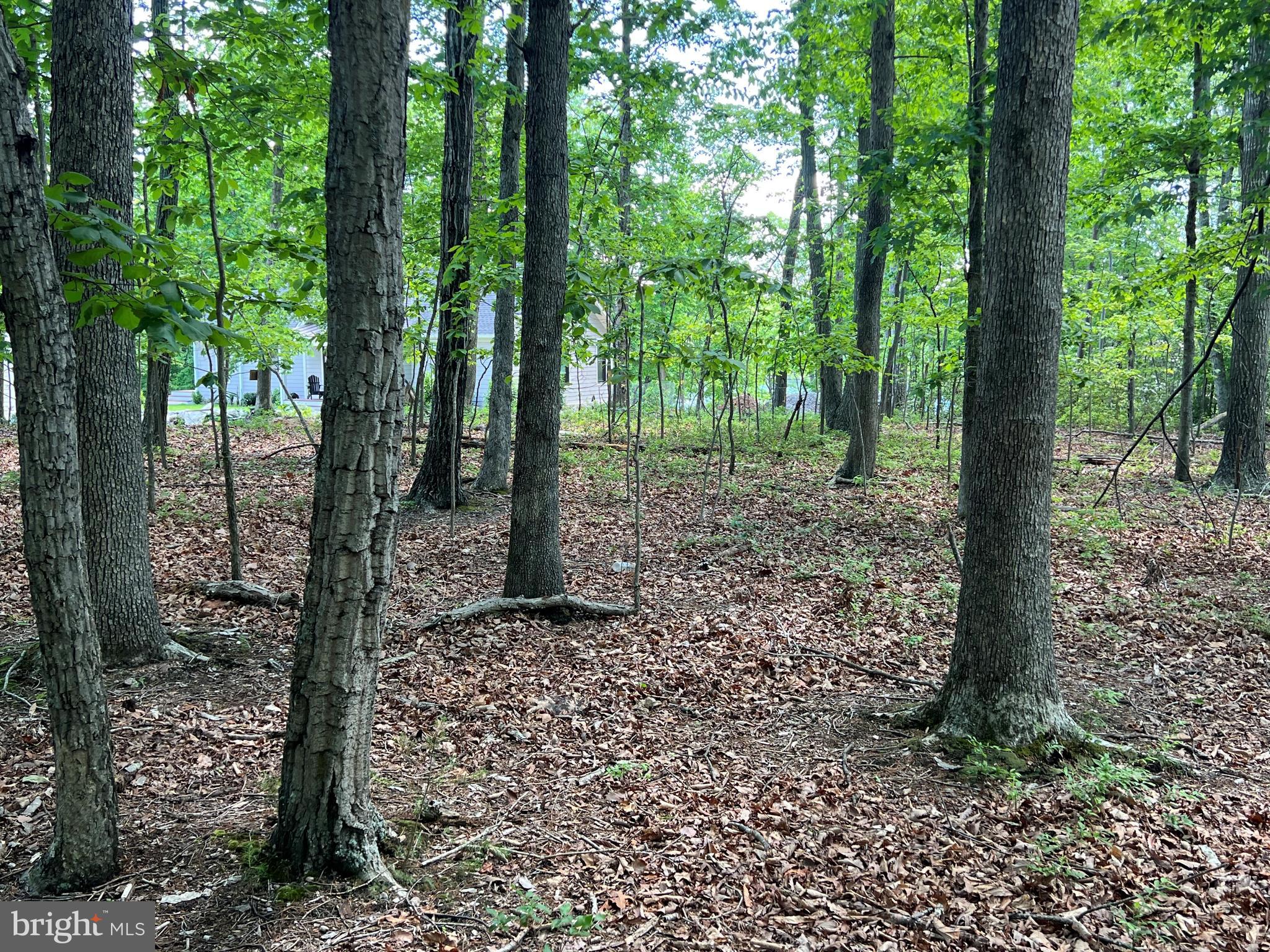 Lot 14 Mitchell Point Road Mineral, VA 23117 - Photo 4 of 8 Gallery Image 4