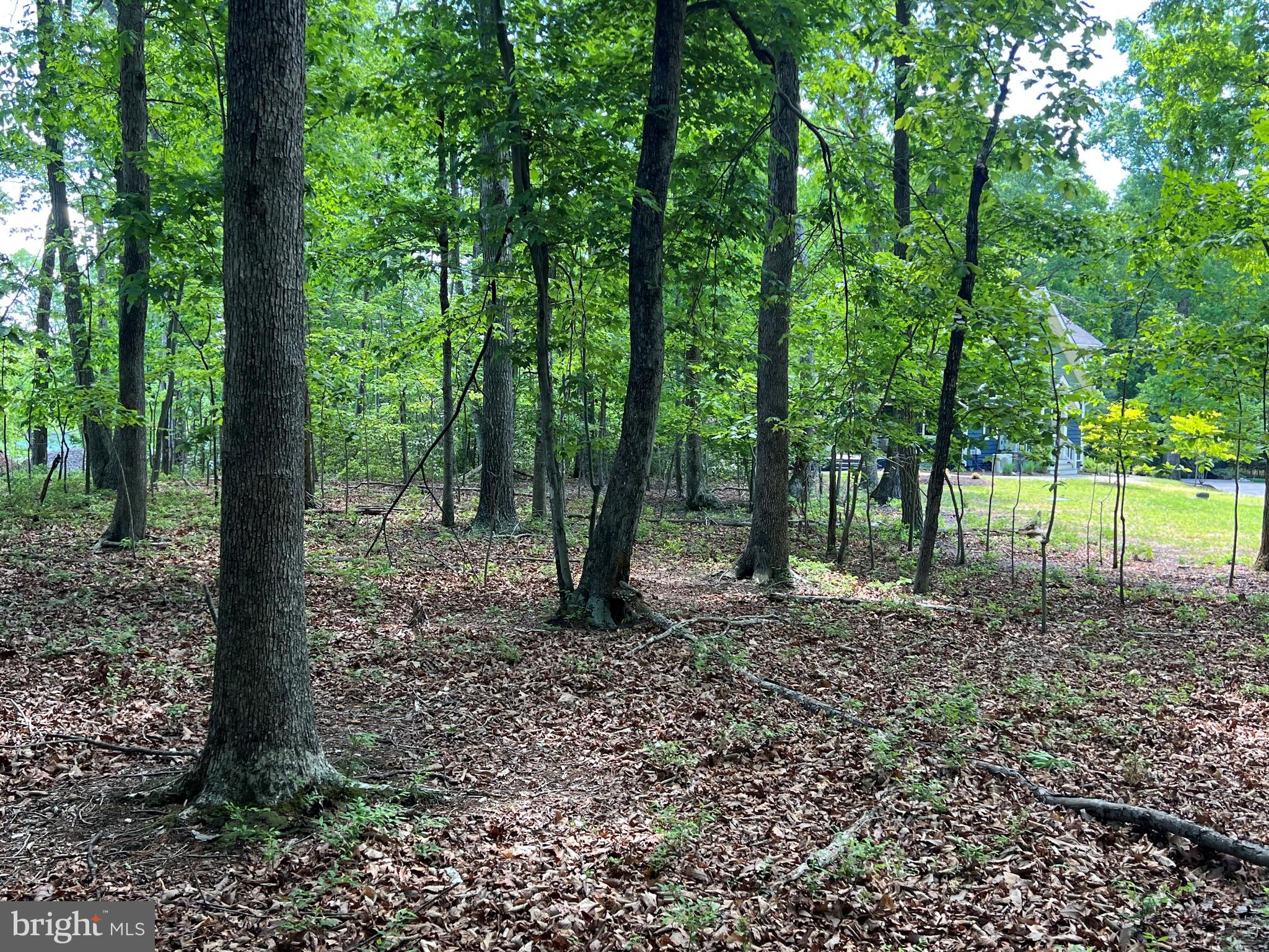 Lot 14 Mitchell Point Road Mineral, VA 23117 - Photo 5 of 8 Gallery Image 5