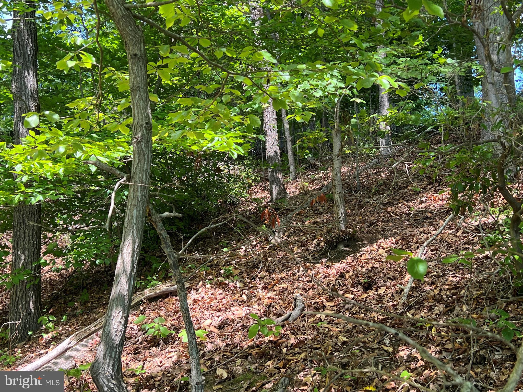Lot 14 Mitchell Point Road Mineral, VA 23117 - Photo 6 of 8 Gallery Image 6