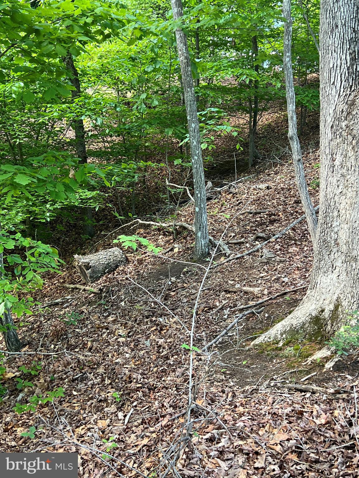 Lot 14 Mitchell Point Road Mineral, VA 23117 - Photo 7 of 8 Gallery Image 7