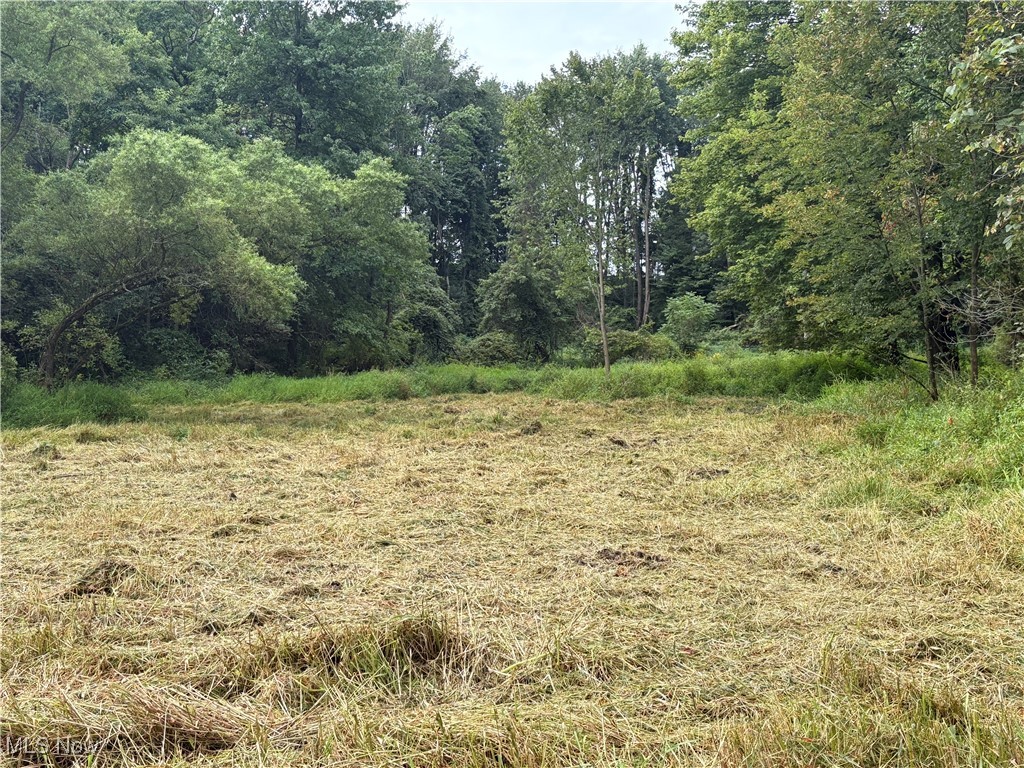 Hartville Road North Atwater, OH 44201 - Photo 6 of 10 View of nature
