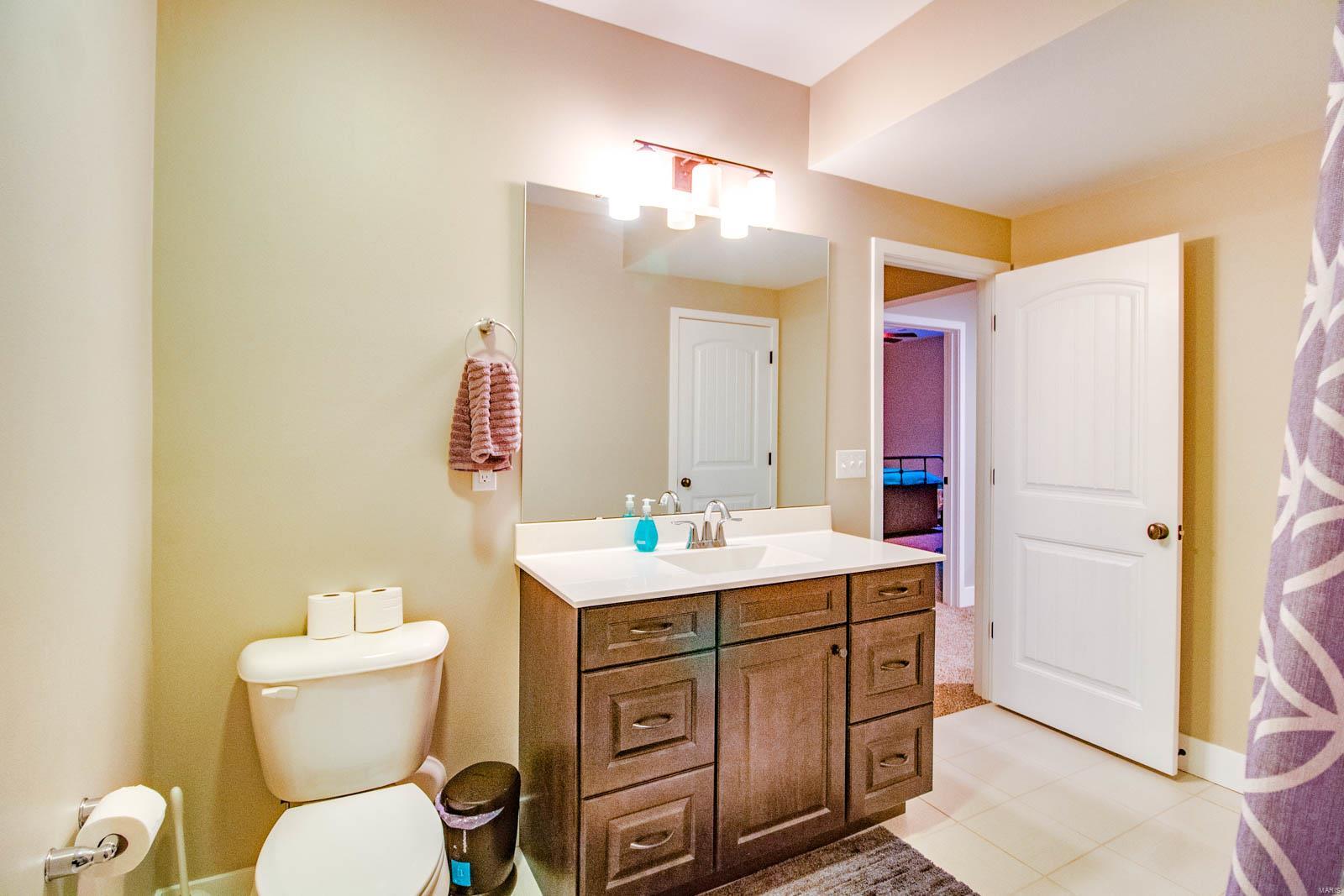 1306 Timber Ridge Trace Drive O'Fallon, IL 62269 - Photo 50 of 67