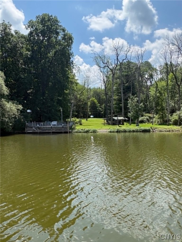 214 Button Shores Road Van Buren, NY 13027 - Photo 14 of 41