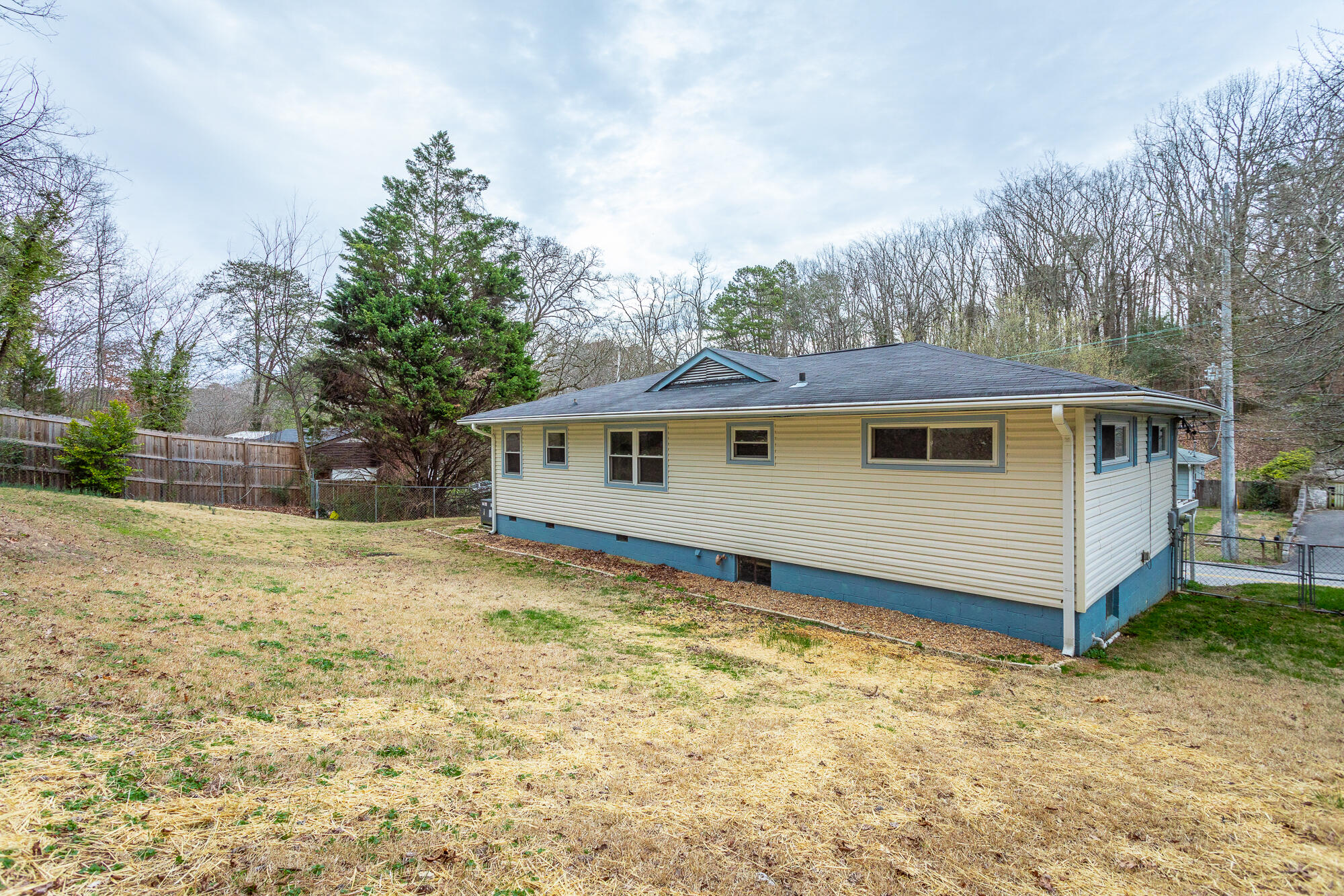 1119 Fernway Road Chattanooga, TN 37405 - Photo 44 of 53 Side rear view