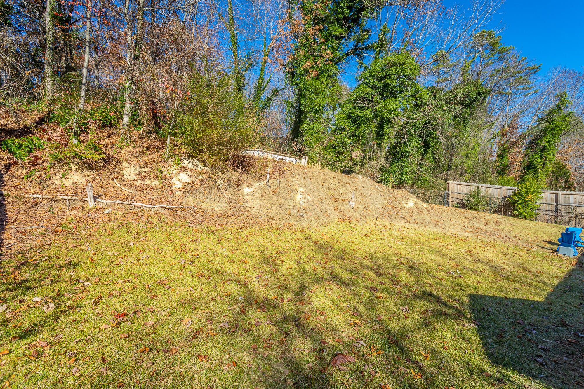 1119 Fernway Road Chattanooga, TN 37405 - Photo 48 of 53 Huge Yard
