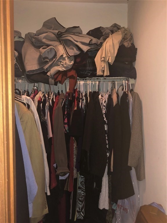 3 Havana Road Worcester, MA 01603 - Photo 14 of 21 a view of walk in closet with clothes and shoes