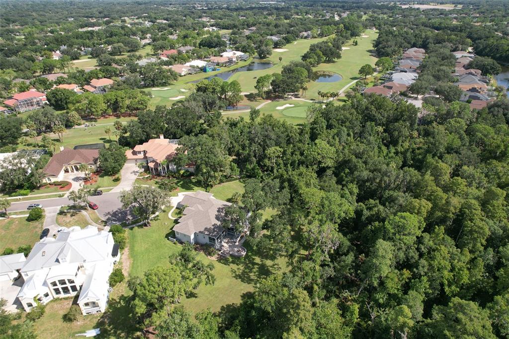 5207 Merion Road Valrico, FL 33596 - Photo 84 of 100 Gallery Image 84