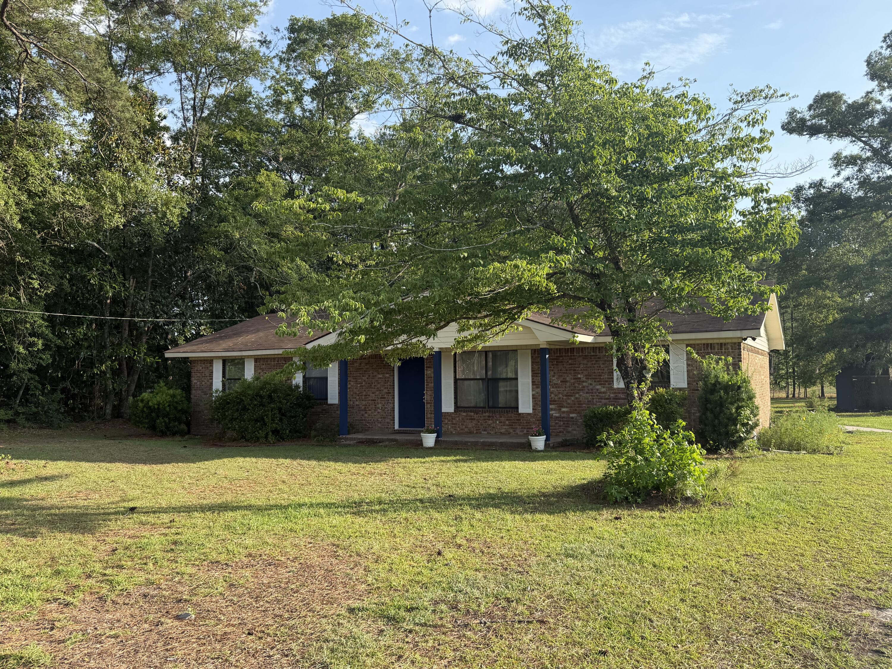 6586 Browning Gate Road Estill, SC 29918 - Photo 3 of 28