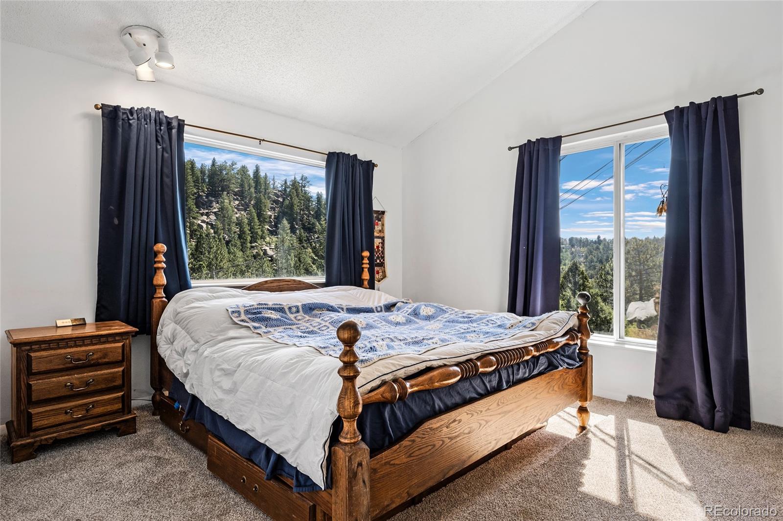 1729 Crow Valley Road Bailey, CO 80421 - Photo 29 of 49