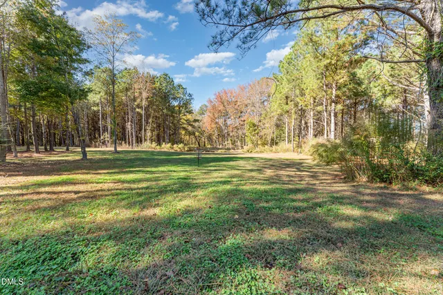 a view of a big yard with large tree