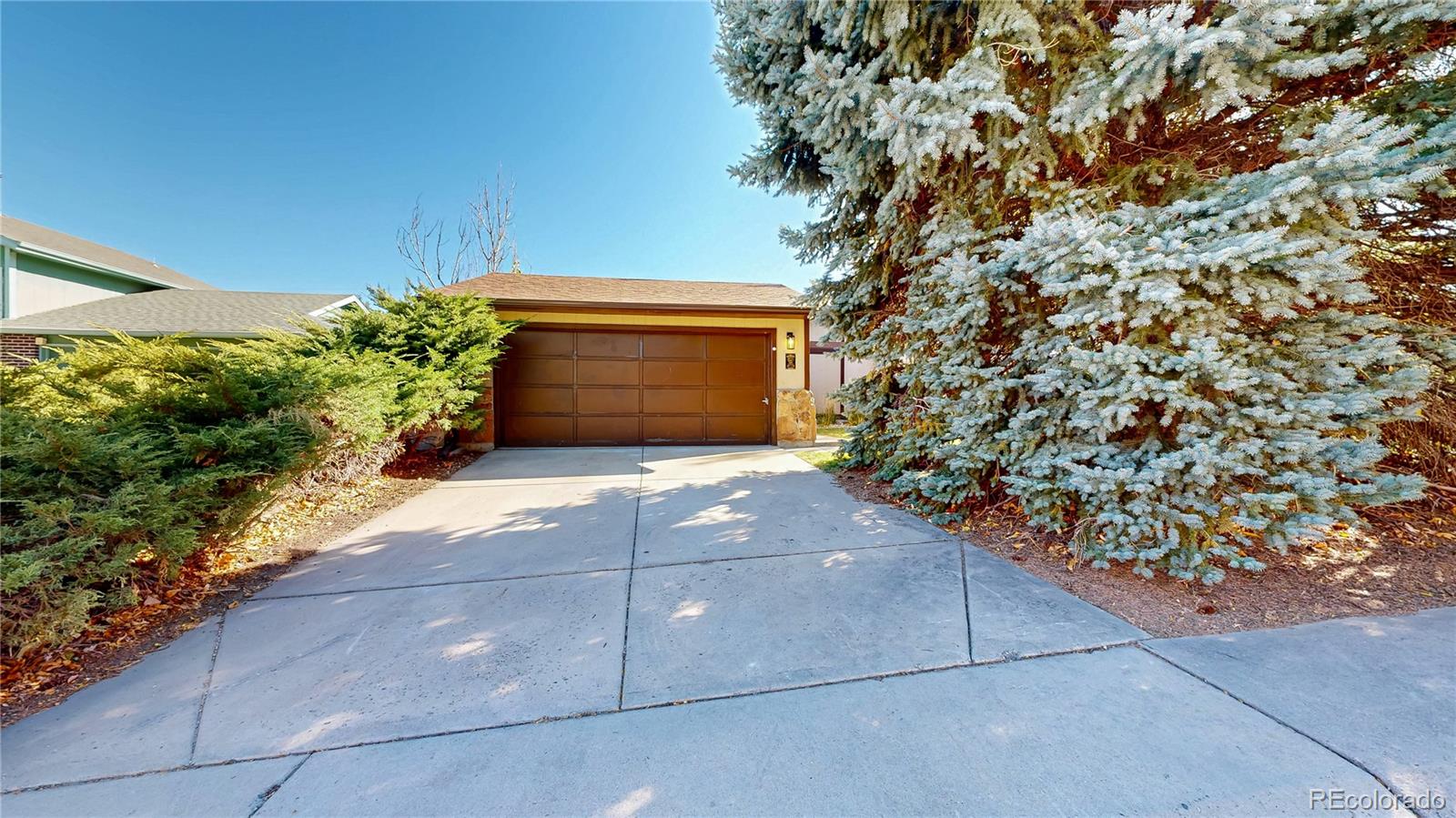 214 Poppy Street Golden, CO 80401 - Photo 25 of 31 a front view of a house with a yard and trees